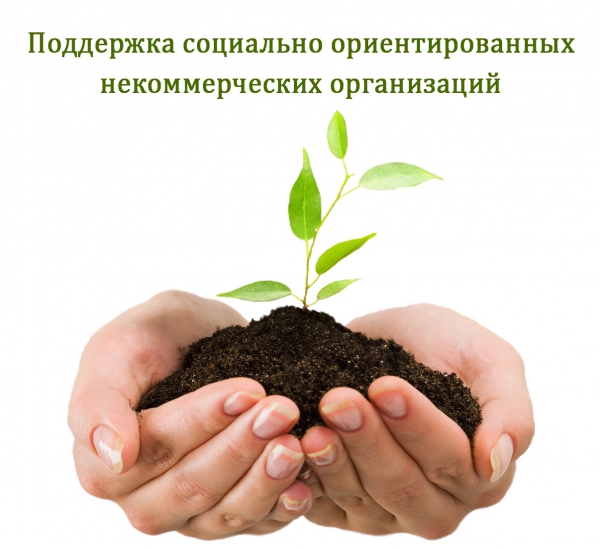 Картинки по запросу социальных услуг нко